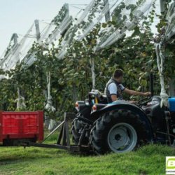 D�k 12.4-24/8 TT TR-135 121A6